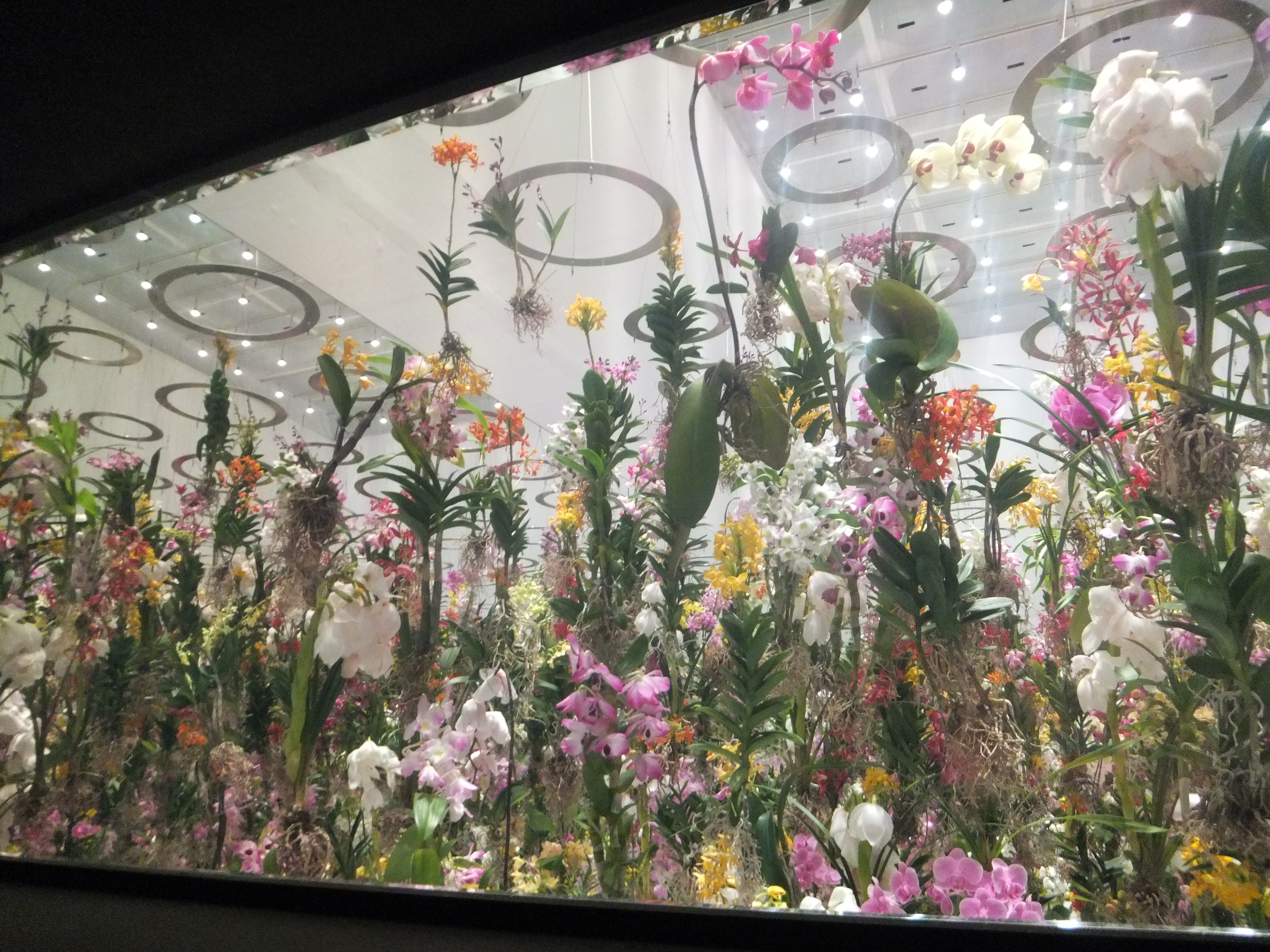 動画 コレ楽しい 未来の遊園地 は期間限定テーマパーク Gp Part 2