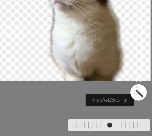 意外とカンタン Iphoneで面白ネコ写真を撮る方法 Gp Part 2