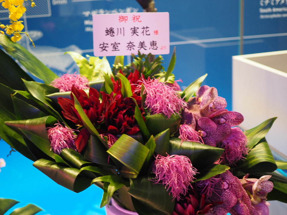 蜷川実花の幻想的な世界に浸れる すみだ水族館 のクラゲアート Gp Part 2