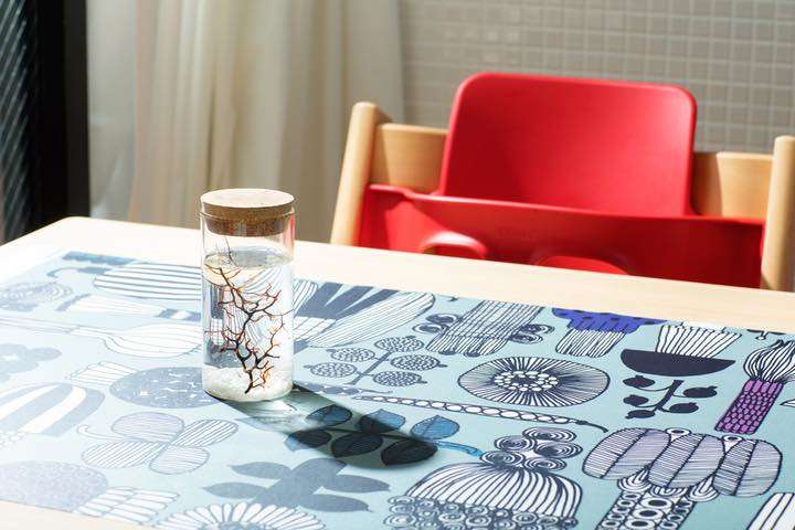 エサは必要なし お手軽なミニアクアリウムは癒し度満点 Gp Part 2