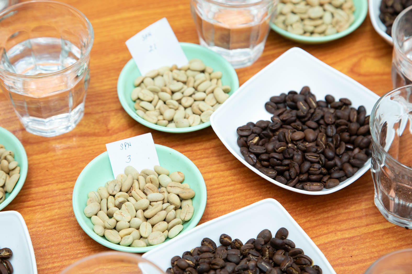 種 苗からコーヒー豆へ トアルコ トラジャ ができるまで コーヒー農園訪問記 中編 Gp Part 4