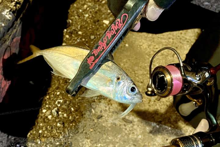 ラインは細く よく曲がる竿で アジングで最初の一匹を釣るコツ教えます Gp Part 2