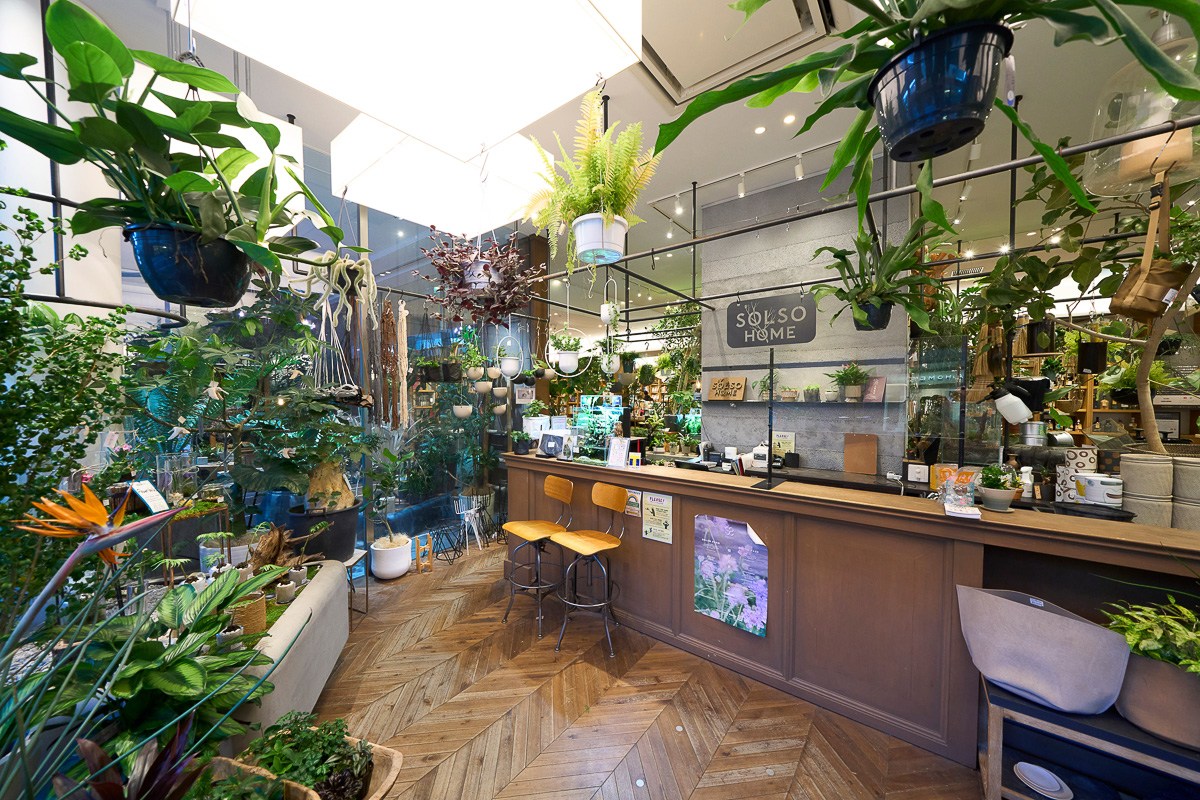 初心者でも挑戦できるインドアグリーンのススメ 部屋と趣味が充実する傑作買い得モノ Gp