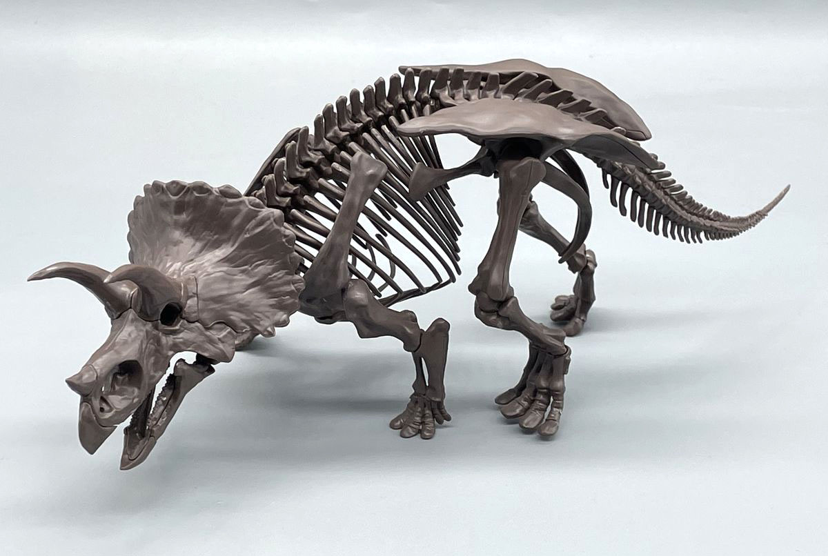 完成したティラノサウルスとトリケラトプスでポージングを考える 達人のプラモ術 恐竜骨格模型 Gp Part 2